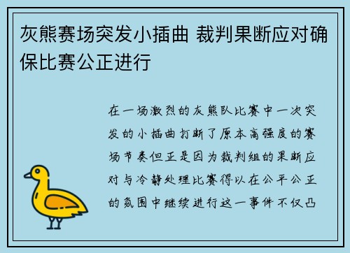 灰熊赛场突发小插曲 裁判果断应对确保比赛公正进行